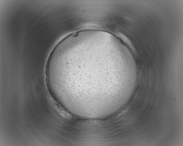 X0000073991435200609181731