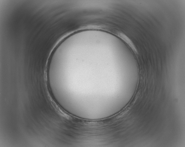 X0000073991436200609181731