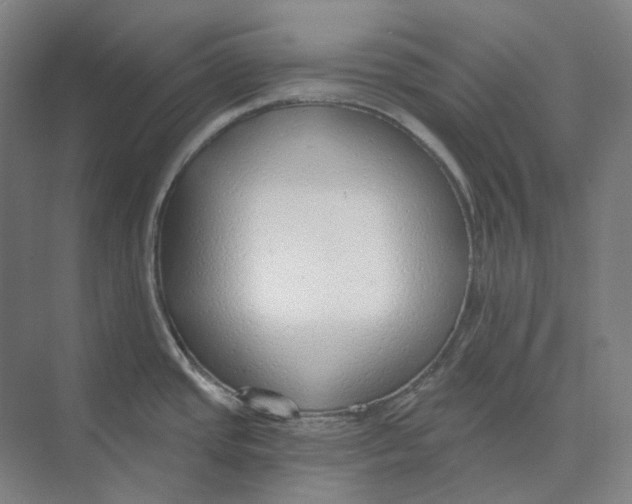 X0000073991437200609181731