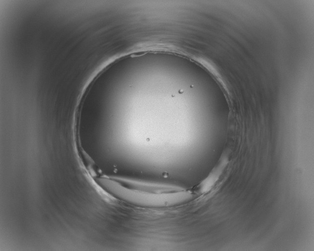 X0000073991438200609181731