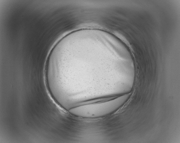 X0000073991440200609181731