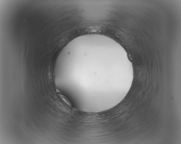 X0000073991442200609181730