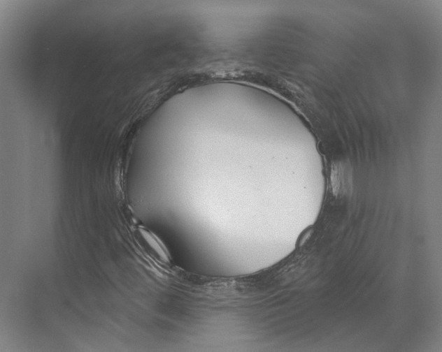 X0000073991444200609181730