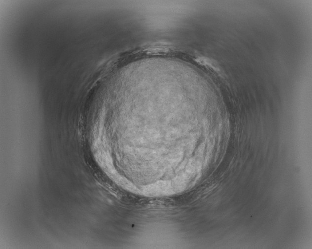 X0000073991445200609181730