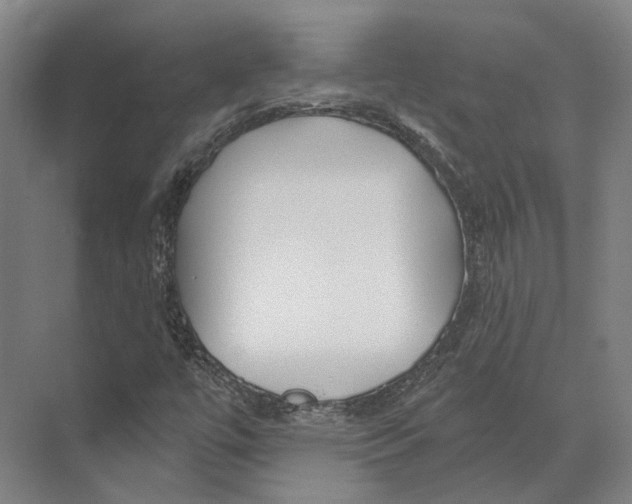 X0000073991447200609181730