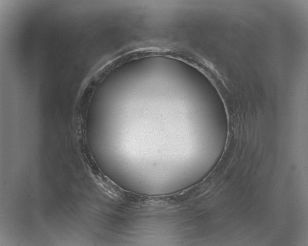 X0000073991448200609181730