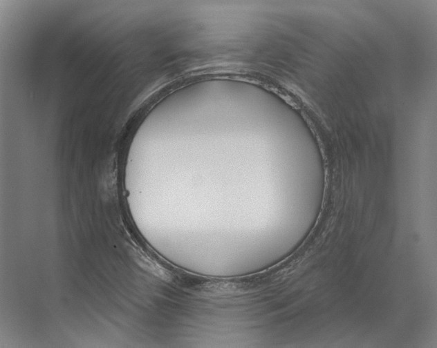 X0000073991450200609181730