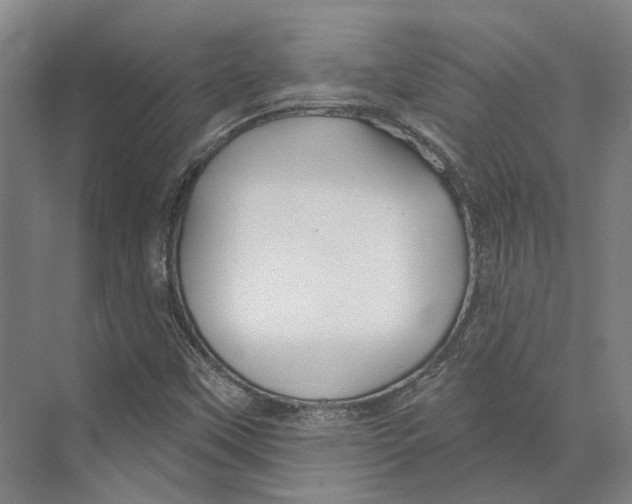 X0000073991451200609181730