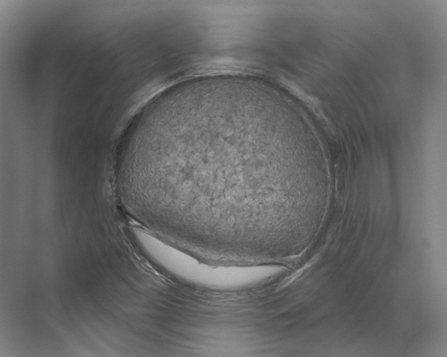 X0000073991453200609181730