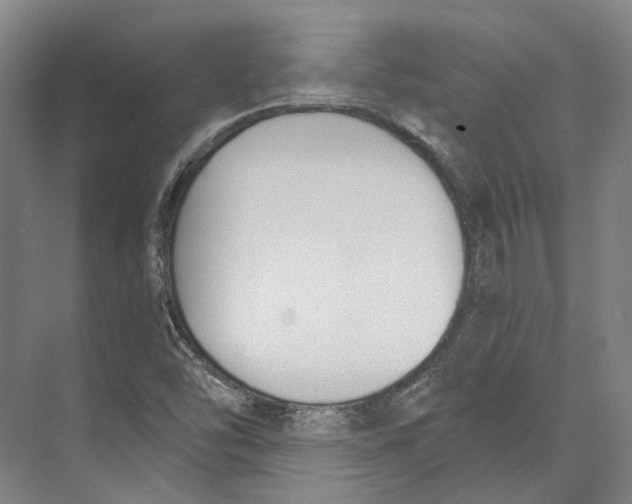 X0000073991454200609181730