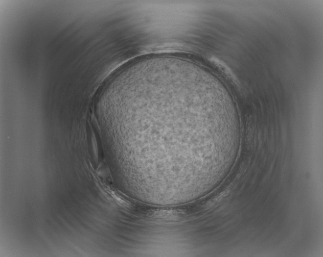 X0000073991457200609181730