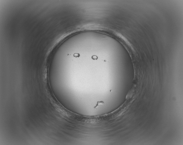 X0000073991461200609181730