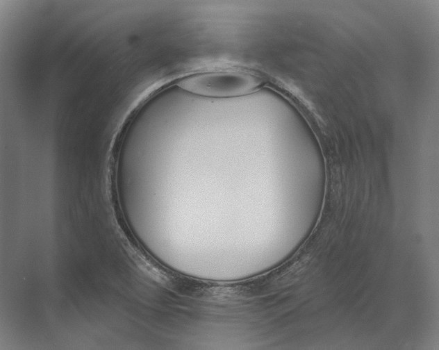 X0000073991463200609181730