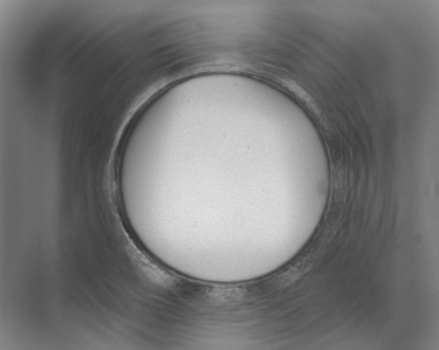 X0000073991466200609181730