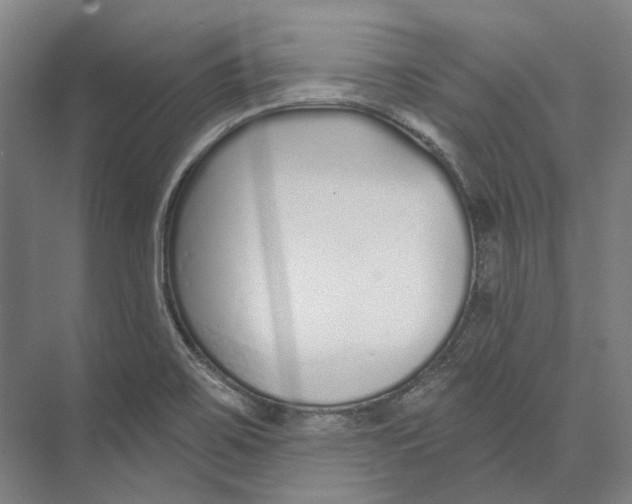 X0000073991467200609181730