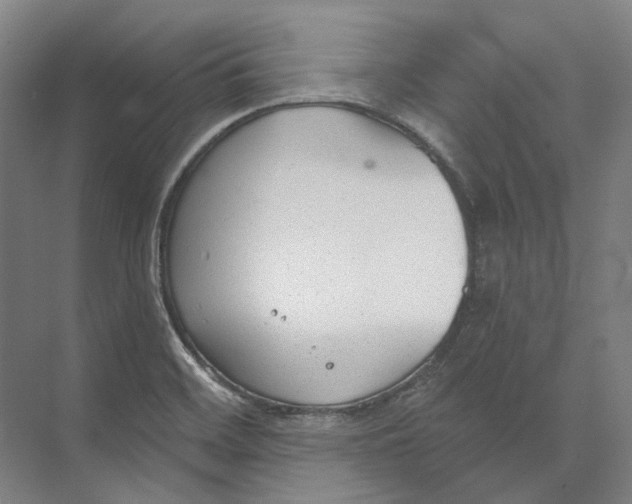 X0000073991468200609181730