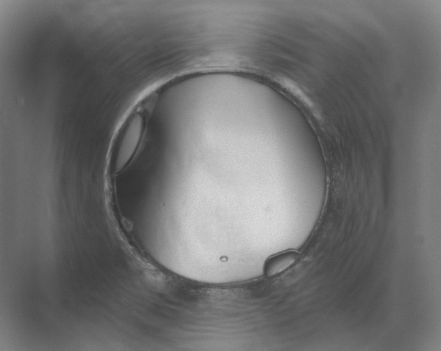 X0000073991469200609181730