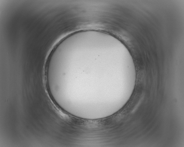 X0000073991470200609181730