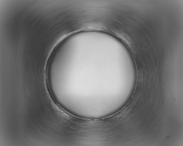 X0000073991471200609181730