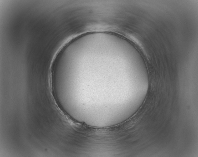 X0000073991472200609181730