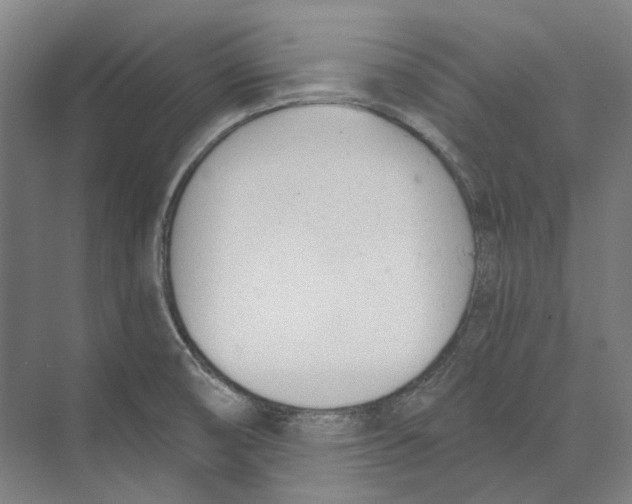 X0000073991474200609181729