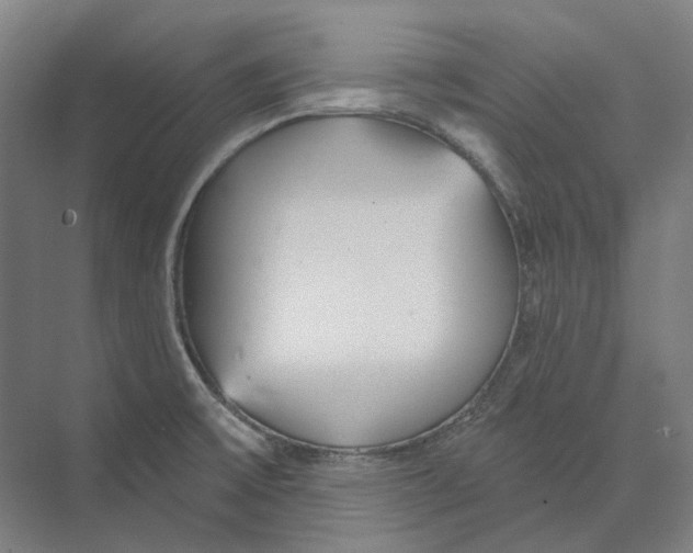 X0000073991475200609181729