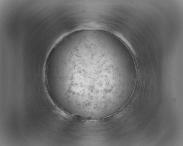 X0000073991477200609181729