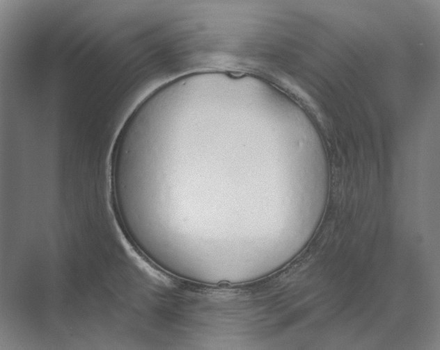 X0000073991479200609181729