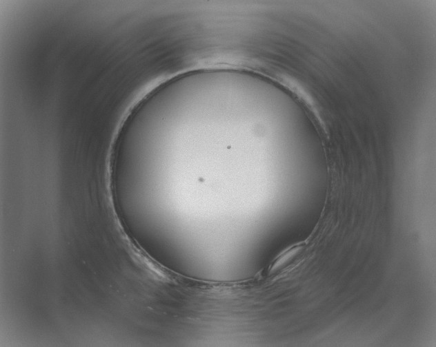 X0000073991480200609181729