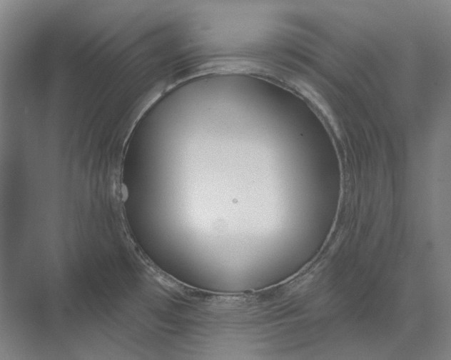 X0000073991481200609181729