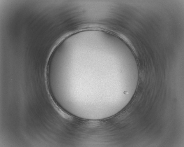 X0000073991482200609181729