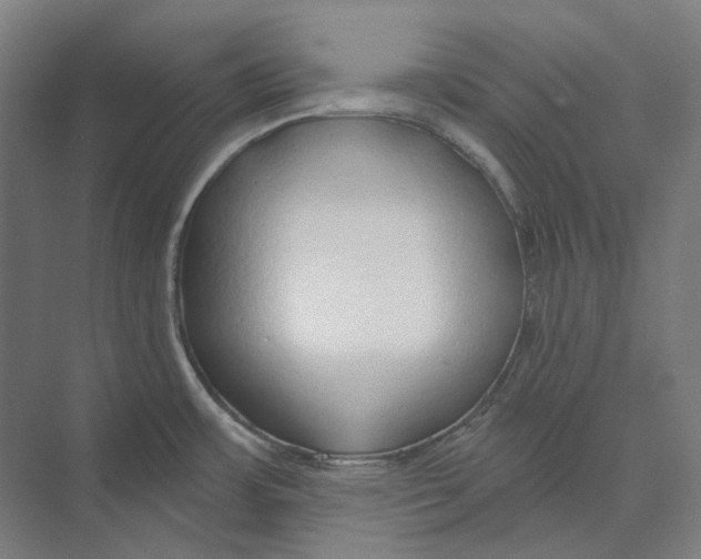 X0000073991483200609181729