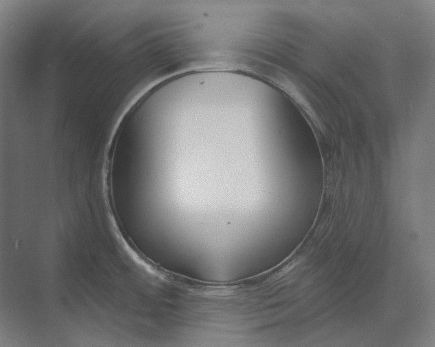 X0000073991484200609181729