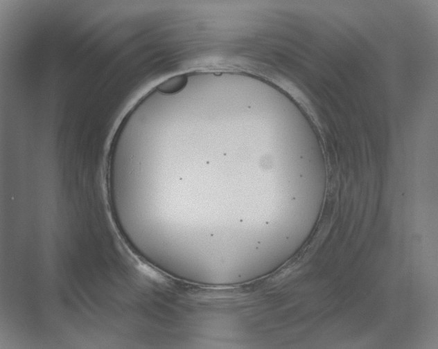 X0000073991486200609181729