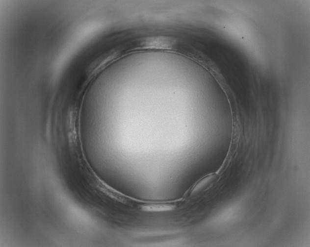 X0000073991487200609181729