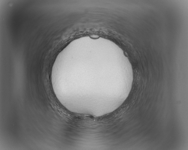 X0000073991489200609181728