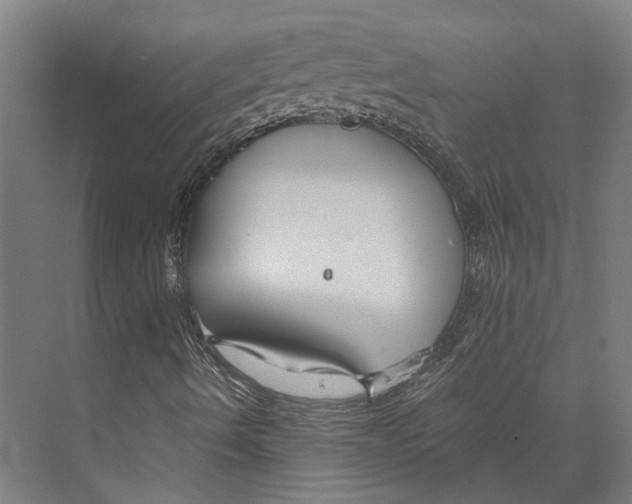 X0000073991490200609181728