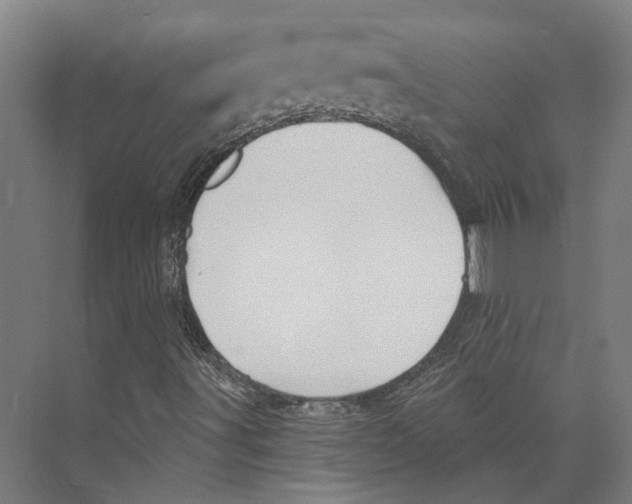 X0000073991491200609181728