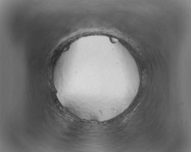 X0000073991494200609181729