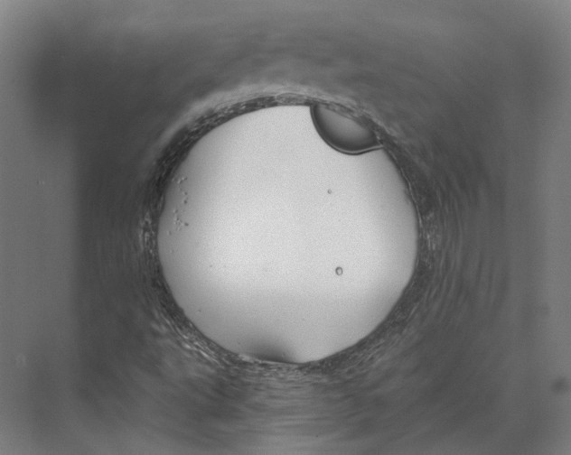 X0000073991495200609181729