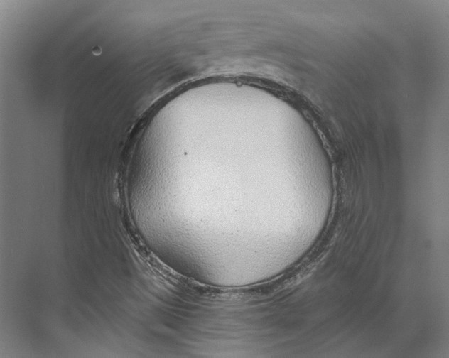 X0000073991497200609181729