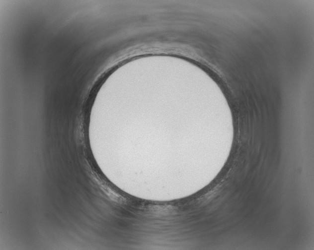 X0000073991498200609181729