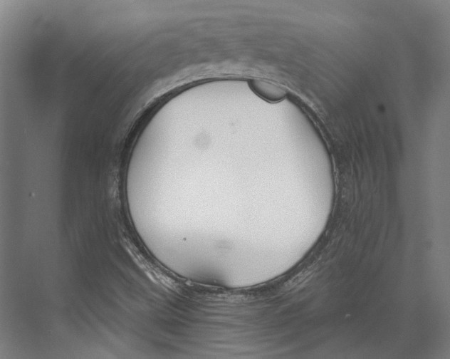 X0000073991499200609181729