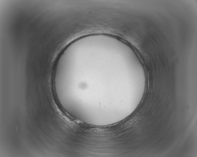 X0000073991500200609181729