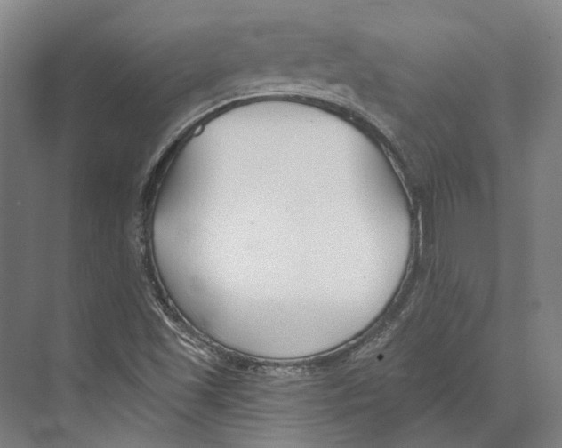 X0000073991501200609181729