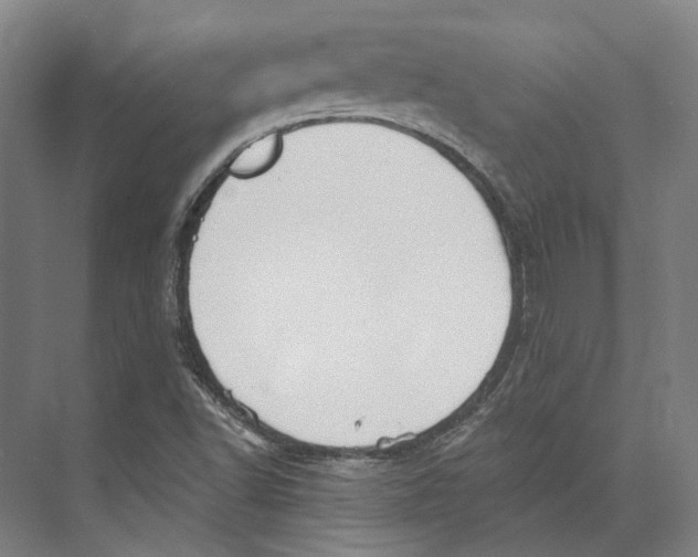 X0000073991502200609181729