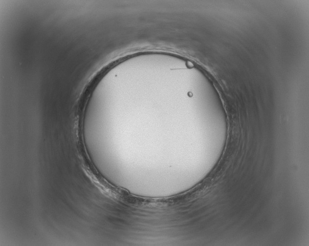 X0000073991503200609181729