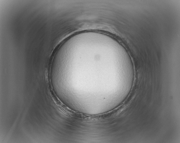 X0000073991505200609181729