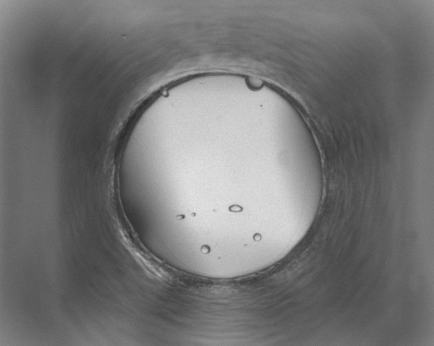 X0000073991507200609181729