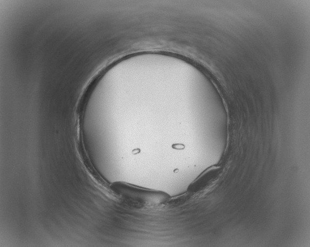 X0000073991509200609181729